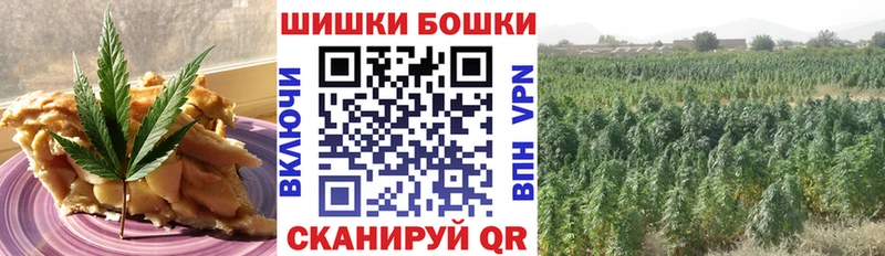 Canna-Cookies марихуана  продажа наркотиков  Переславль-Залесский 
