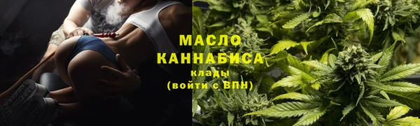 винт Пересвет