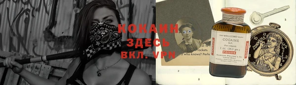 винт Пересвет