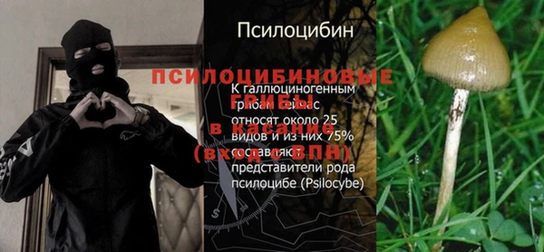 героин Алексин