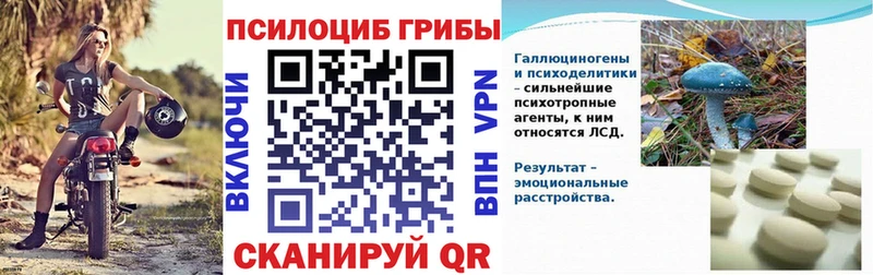 сколько стоит Переславль-Залесский Псилоцибиновые грибы мухоморы