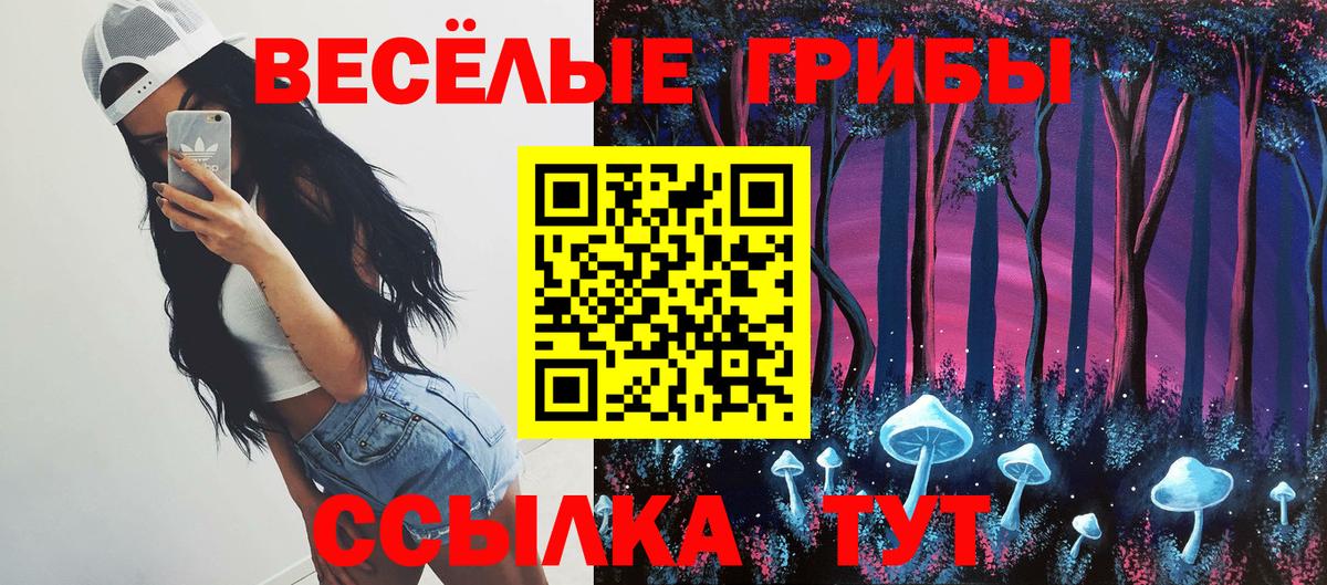 хочу наркоту  Псилоцибиновые грибы GOLDEN TEACHER  Вход с VPN  Галлюциногенные грибы прущие грибы  Переславль-Залесский 